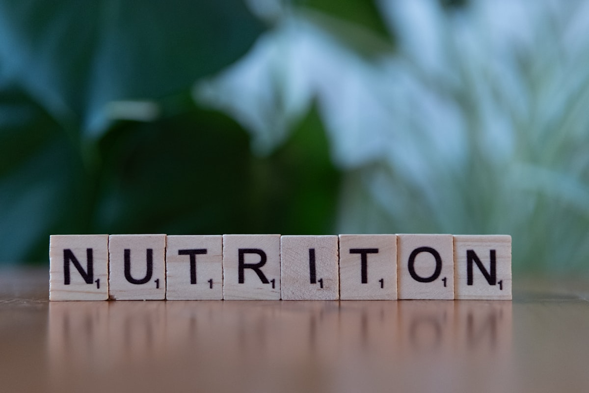 Dicas para melhorar a saúde digestiva e o bem-estar